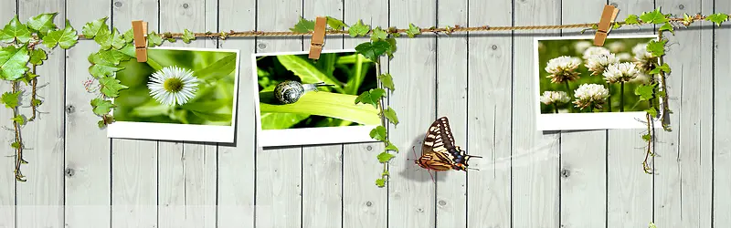 ����ʱ��С���±���-������