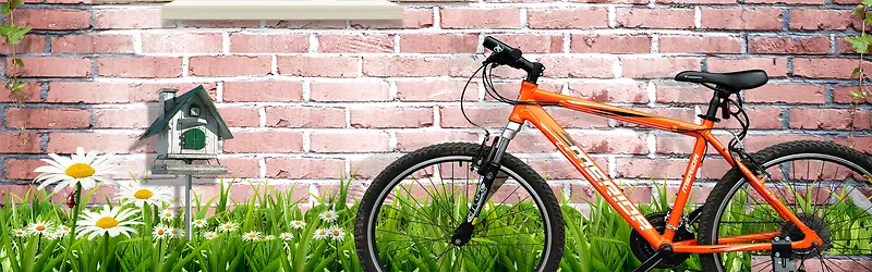 ����С���±���ͼ-������