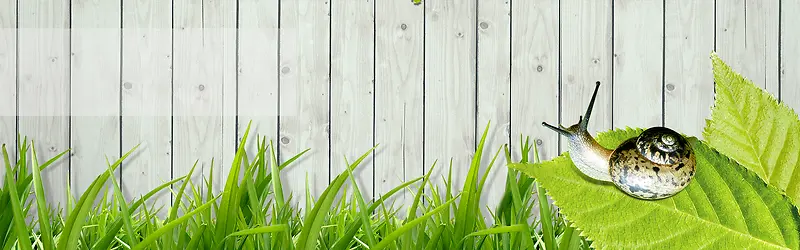 ����С���±���ͼ-������