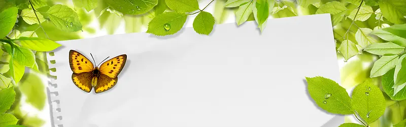 ����ʱ��С���±���-������