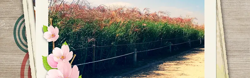 ʱ��С���±���ͼ-������