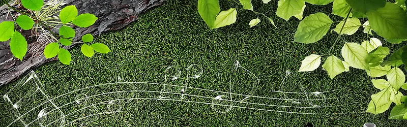 ����ʱ��С���±���-������