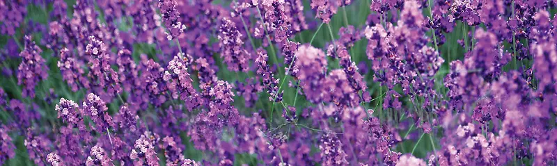 ���±���-������