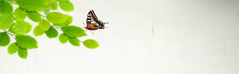 ����ʱ��С���±���-������