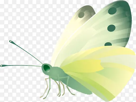 Ѥ��ʱ����ɫ����-������