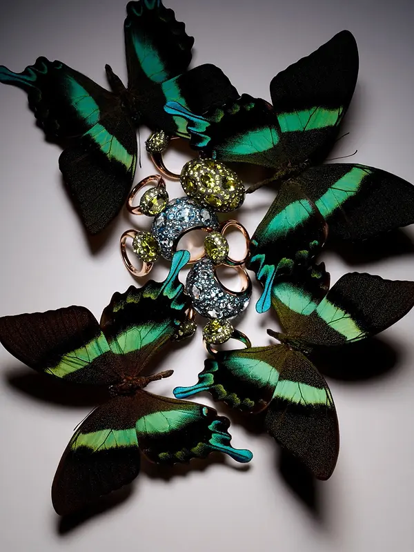 ������Ӱ����Ԫ����ɫ����-������