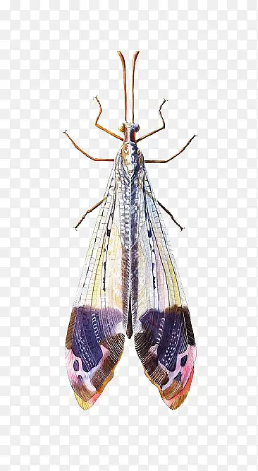 ��ͨ����-������