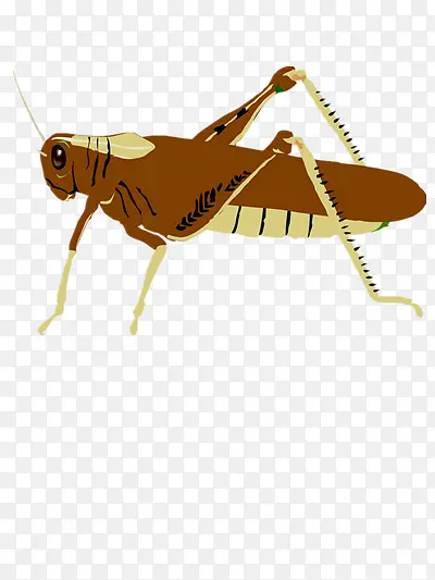 ��ͨ�ֻ�����-������