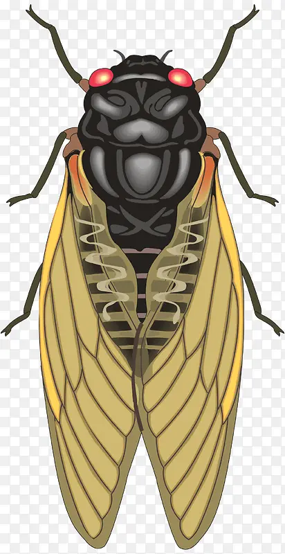 ����-������