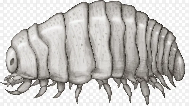 ����ͼ��-������