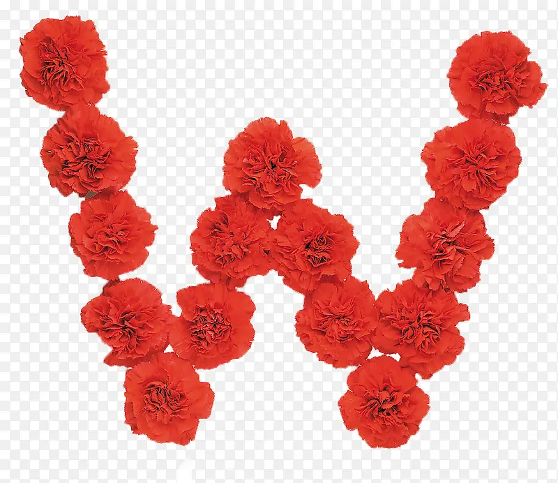 Ӣ��W-������