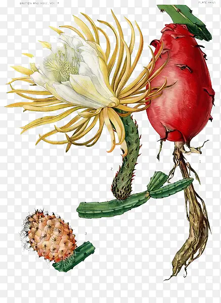 �ֻ������-������