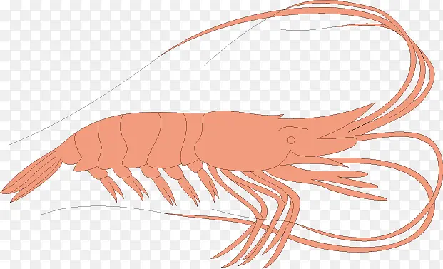 ��ͨ�ֻ���Ϻ-������