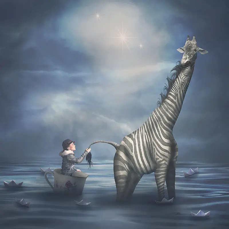 С�����������ֻ�-������