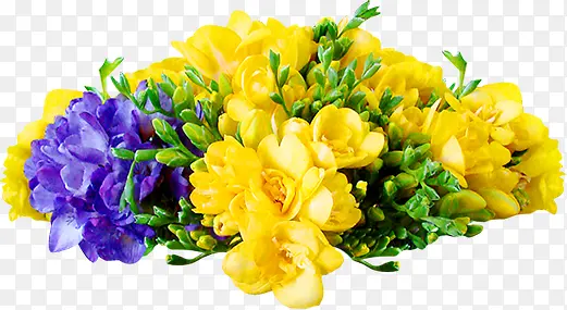 ��ɫѤ�����Ƹ���-������