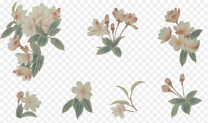 ���͸����ɫ����-������