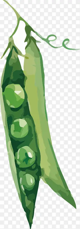 �㶹-������