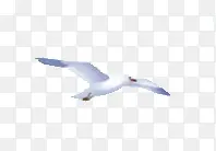 ����-������