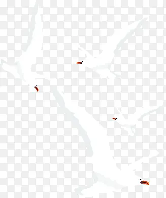 ��ɫ��Ÿ����-������