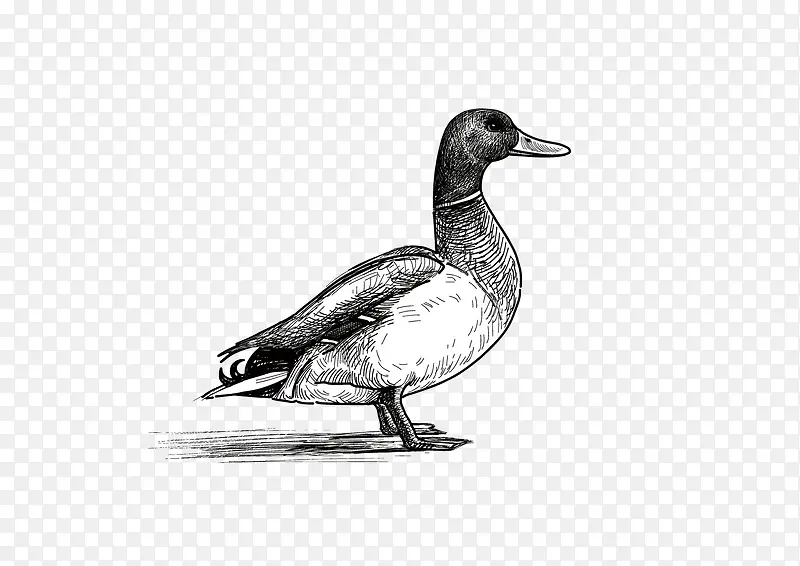 �ֻ�Ѽ��-������