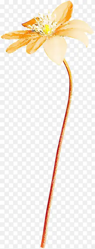 ��ɫ���軨��-������