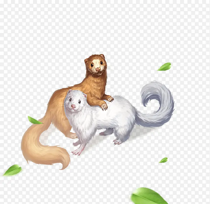 ˫ɫ�ֻ�ɰ�����-������