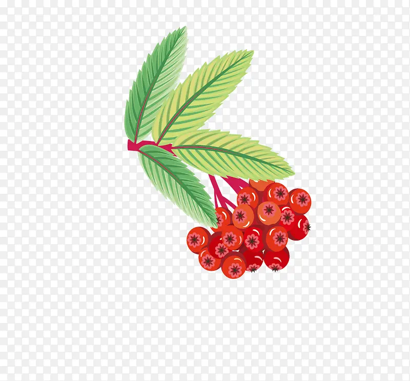 ���ˮ��-������