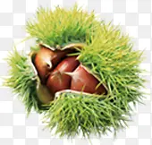 ��ɫ��Ȼë��ˮ��-������