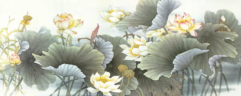 �ɰ�ˮī�ŵ�ɻ�-������