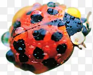 �ɰ�ʱ�д���ư�����-������