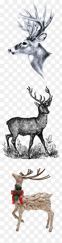 �ֻ�¹�ز�-������