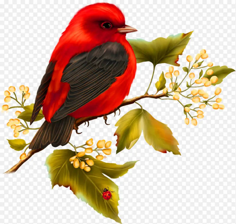 ��ɫ���»���װ��ͼ��-������