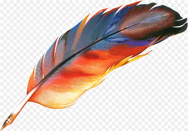 ��ɫ��ë�ز����-������