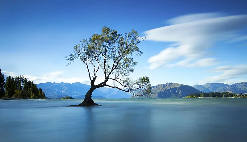 ������ǿ��б����-������