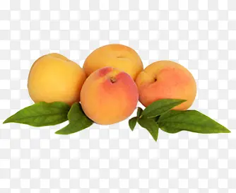 ˮ��-������