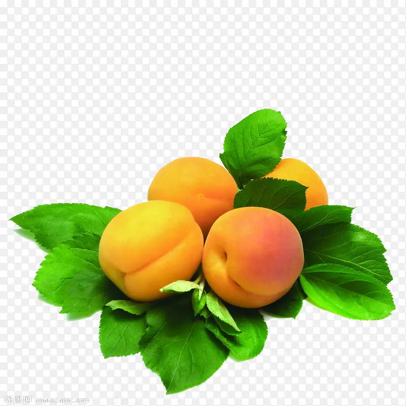 ˮ��-������