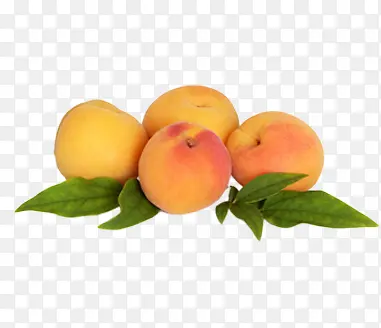 ˮ��-������