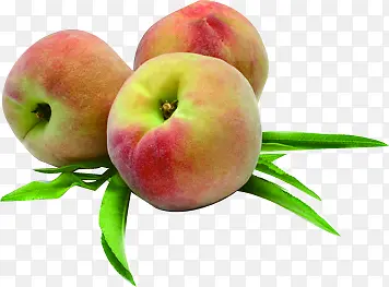 ����ˮ�����߲�ˮ��-������