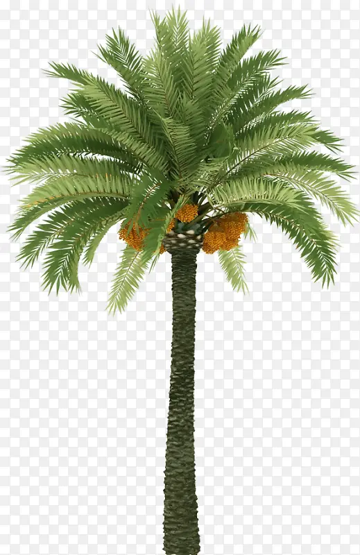 �㽶��png�ز�-������