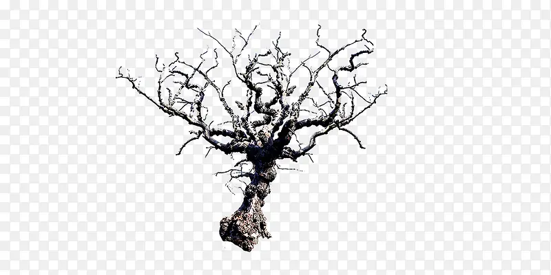 ����-������