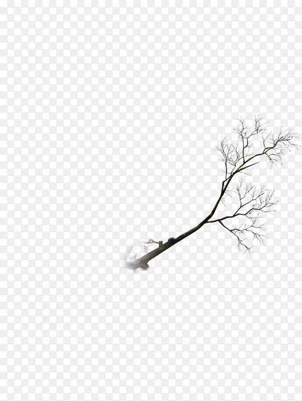 ��֦-������