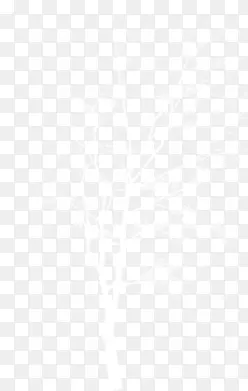 ��֦-������