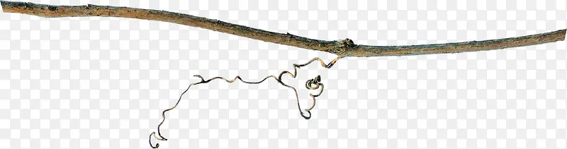 ľ����֦����-������