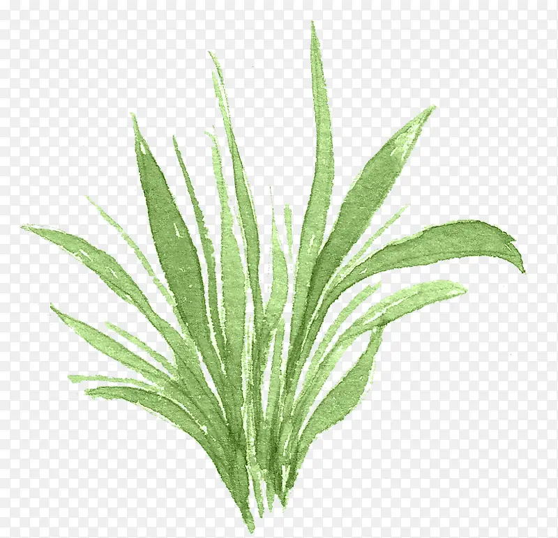 �ֻ�ˮ���̲�-������