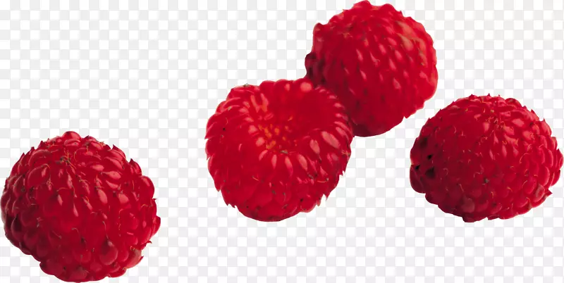 ��ɫ������ͼ��-rraspberry pngͼ��-������