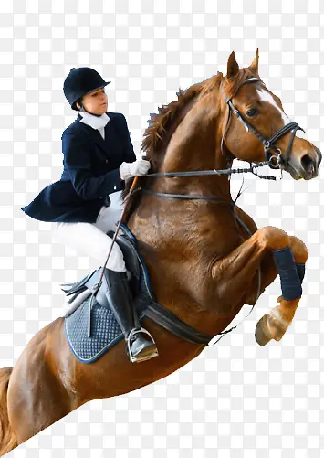 ������Ӱ�����˶�Ա-������