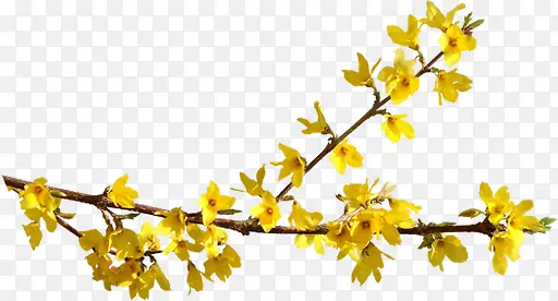 �ֻ��ɫ����ʱ�к���-������