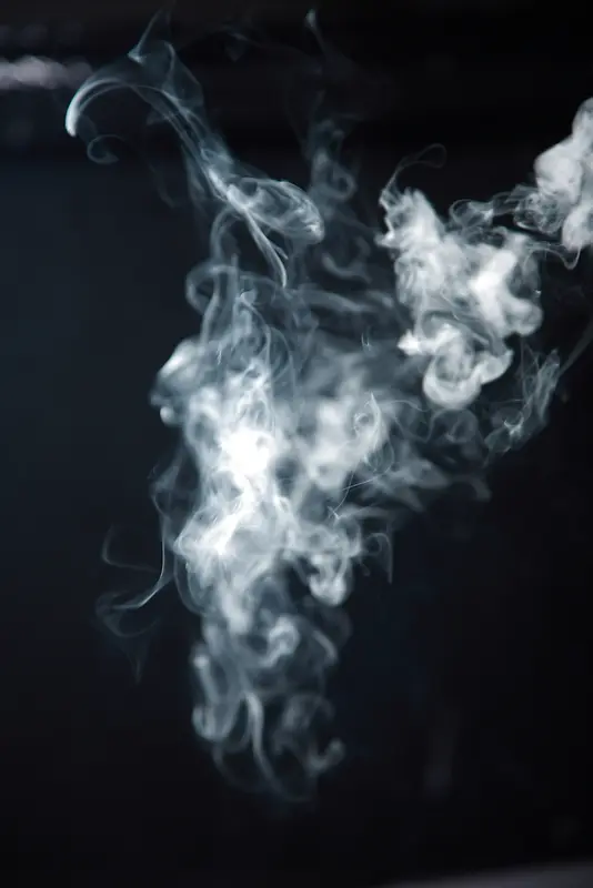 ��ɫ�������Ƹ�����Ӱ-������