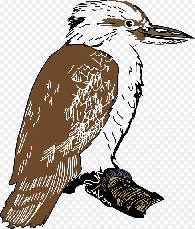 �ɰ���ȸ-������