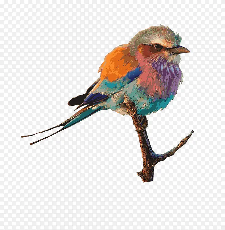 ˮ����ȸ-������